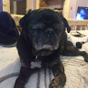 Meet your Posher, Carrie